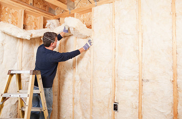 Best Garage Insulation in Hden Springs, ID