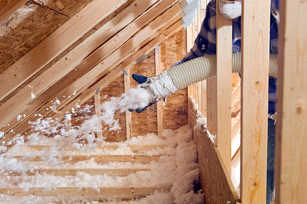 Professional Insulation Removal & Installation in Hidden Springs, ID